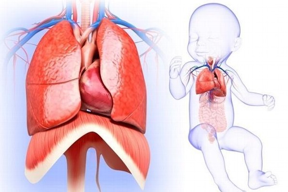 Advierten de la importante detección oportuna de fibrosis quística