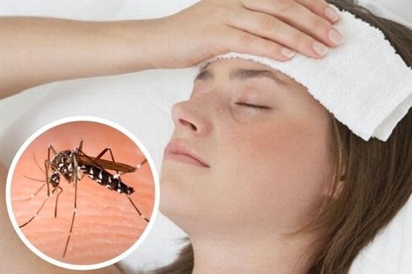 ¡Cuida tu salud! Síntomas del dengue y qué hacer para evitarlo