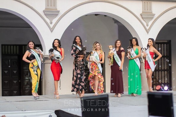 Imagen Miss Earth Veracruz, La Roca y Cool Planet ofrecen tierna pasarela de Adopción (+fotos)