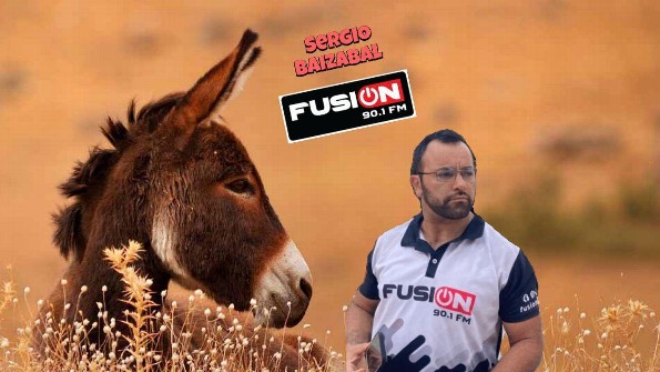 Hoy hablamos del Burro que cayó al pozo 