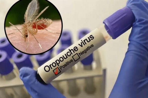 Lo que se debe saber sobre el virus oropouche o fiebre del perezoso