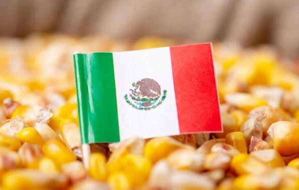 Por si estabas con el pendiente: El Maíz, rey de la comida mexicana