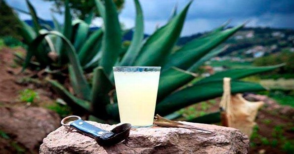 Por si estabas con el pendiente: El pulque, elixir de los Dioses