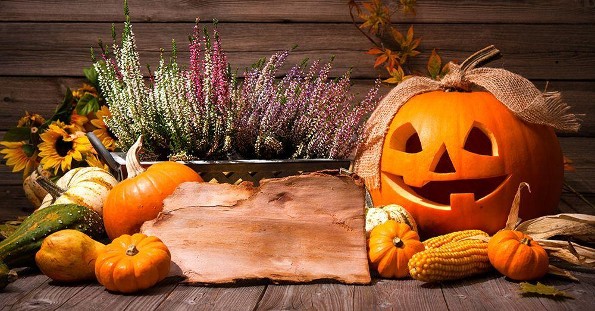 Historia y origen de la tradicional calabaza de Halloween