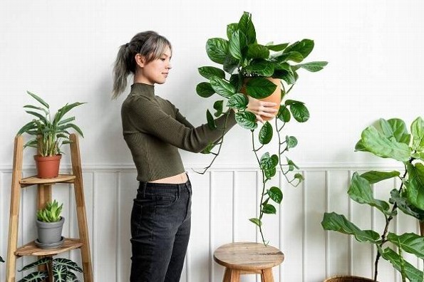 Cuida la energía de tu casa 